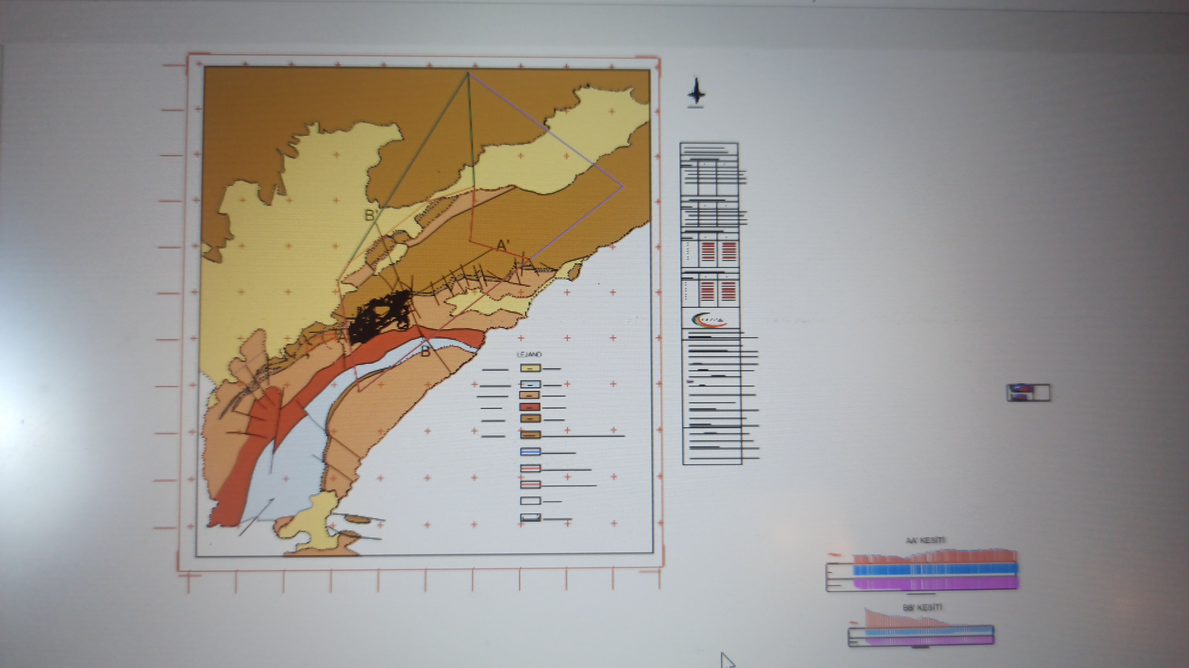 HALİHAZIR HARİTA 01